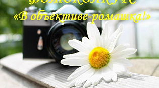 В ОБЪЕКТИВЕ - РОМАШКА!